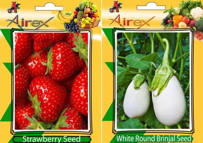 

Airex Strawberry, White Round Brinjal Seed(25 per packet)