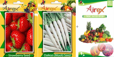 

Airex Strawberry, Daikon Seed(20 per packet)