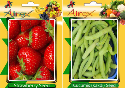 

Airex Strawberry, Cucumis Seed(20 per packet)