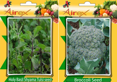 Airex Holy Basil (Shyama Tulsi), Broccoli Seed(25 per packet)