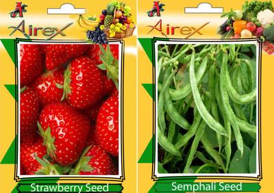 

Airex Strawberry, Semphali Seed(15 per packet)