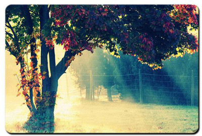 

REHBAR RGADIBA003234 Mousepad(Multicolor)