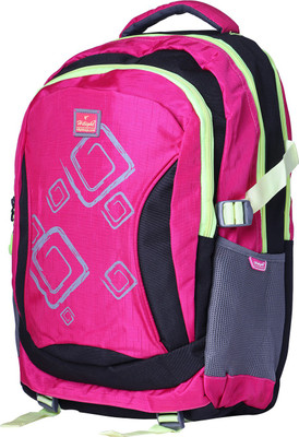 

HI-LIGHT SCHOOL AND LAPTOP BAG ART-508 25 L Backpack(Pink, Green, Black)