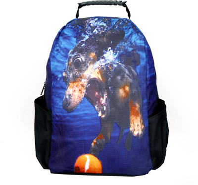 

Belomoda 15.6 inch Laptop Backpack(Multicolor)