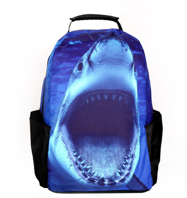 

Modacubo 15.6 inch Laptop Backpack(Multicolor)