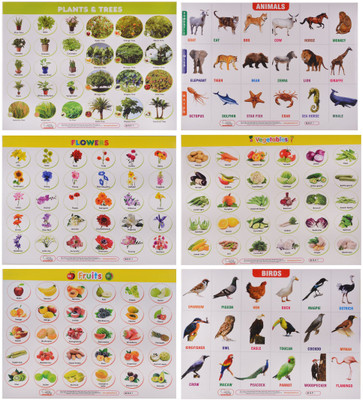 AADS AADS45(Multicolor)