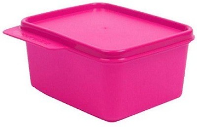 TUPPERWARE Keeptab small 1 Containers Lunch Box(500 ml)