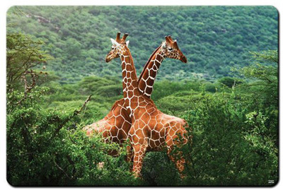 

REHBAR RGADIBA003308 Mousepad(Multicolor)