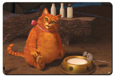 

REHBAR RGADIBA003327 Mousepad(Multicolor)