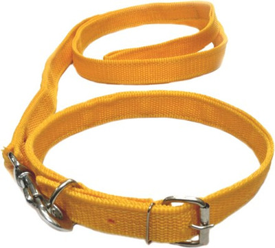 Sollar's Dog Collar & Leash(, Yellow