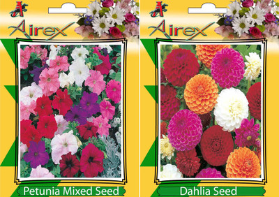 

Airex Petunia Mixed, Dahlia Seed(25 per packet)