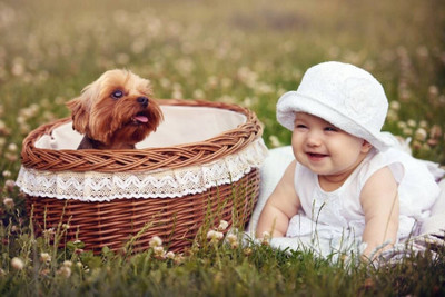 

Akhuratha Wall Poster For Room Cute Adorable Baby Child's Love New Born Infant Kids Toddlers Smiling Paper Print(12 inch X 18 inch, Rolled)