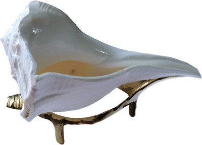 

Divine Temples SHKDV00P240 Sacred Shankh(White)
