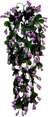 

paradise parahngpurl-79 Purple Assorted Artificial Flower(40 inch, Pack of 1)