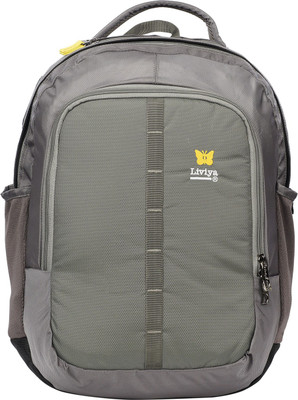 

Liviya SB-986 41 L Backpack(Grey, Silver)