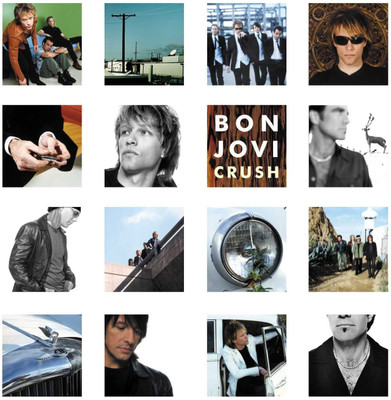 

CRUSH Vinyl Standard Edition(English - BON JOVI)