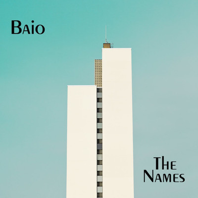 

THE NAMES Vinyl Standard Edition(English - BAIO)