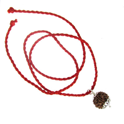 SHIVOHAM 6 Mukhi Rudraksha Silvar Cap Paindent With Red Silk Dori Wood Pendant