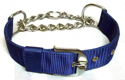 

Petshop7 Blue Choke Collar / Training 1.50in Dog Collar Dog Choke Chain Collar(, Blue
