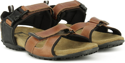 

Woodland Men MBROWN Casual