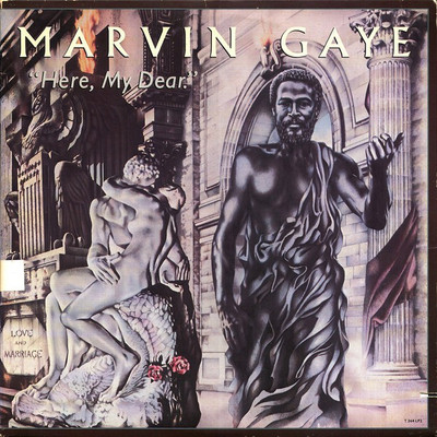 

HERE, MY DEAR Vinyl Standard Edition(English - MARVIN GAYE)