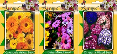 Airex Calendula Yellow, Daisy Mixed, and Cineraria Mixed Seed(20 per packet)