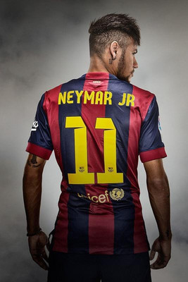 

Netmar Jr Poster Print Poster on LARGE PRINT 36X24 INCHES Photographic Paper(36 inch X 24 inch, Rolled)