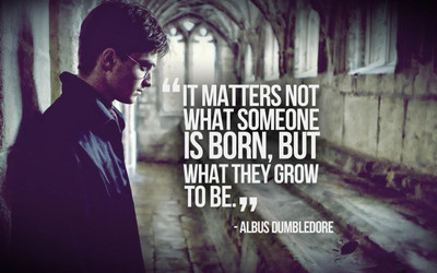 

Harry Potter Quotes Print Poster on 13x19 Inches Paper Print(19 inch X 13 inch, Rolled)