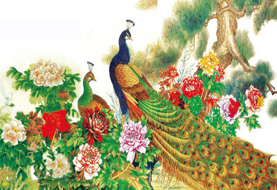 

peacock colorful abstract wallpaper Print Poster on LARGE PRINT 36X24 INCHES Photographic Paper(36 inch X 24 inch, Rolled)