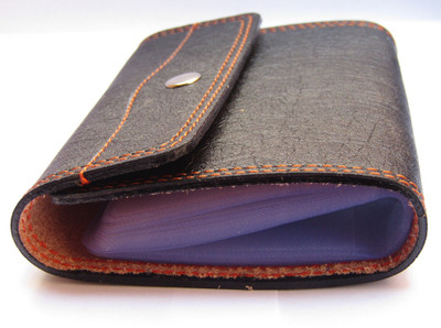 

Poland Boys Brown Artificial Leather Card Holder(20 Card Slots), Black