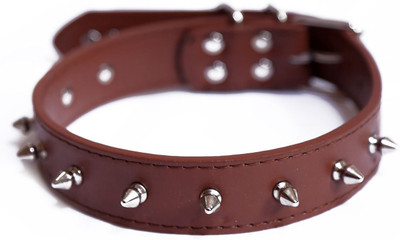 

Sollar's Single Spike Leather Dog Everyday Collar(, Brown
