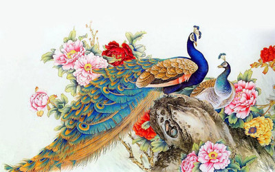 

peacock colorful wallpaper Print Poster on 13x19 Inches Paper Print(13 inch X 19 inch, Rolled)