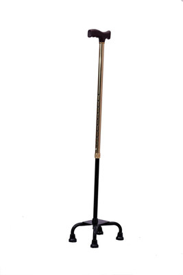 

flemingo AKC01 Walking Stick
