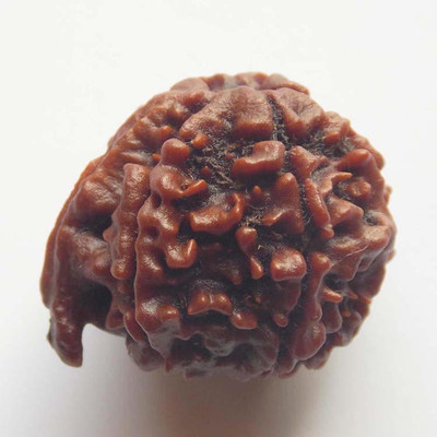 SSG Collections 4 Mukhi Rudraksha Four Faced Charr Nepali Rudraksh Bead Original Wood Pendant