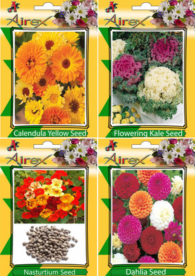

Airex Calendula Yellow, Flowering Kale, Nasturtium, and Dahlia Seed(15 per packet)