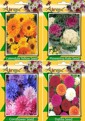 

Airex Calendula Yellow, Flowering Kale, Cornflower, and Dahlia Seed(15 per packet)