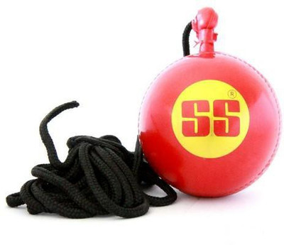 

SS hangingnall123 Cricket Training Ball(Pack of 1, Red)