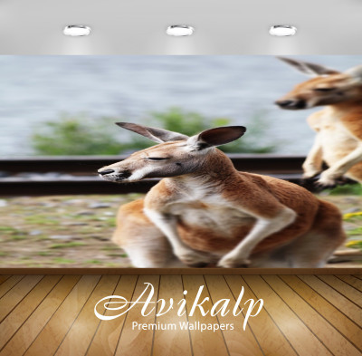 

Avikalp Animals Wallpaper(60.96 cm X 91.44 cm)