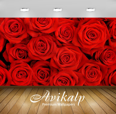 

Avikalp Nature Wallpaper(60.96 cm X 91.44 cm)