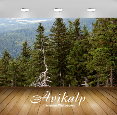 

Avikalp Nature Wallpaper(60.96 cm X 91.44 cm)