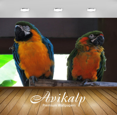 

Avikalp Nature Wallpaper(60.96 cm X 91.44 cm)