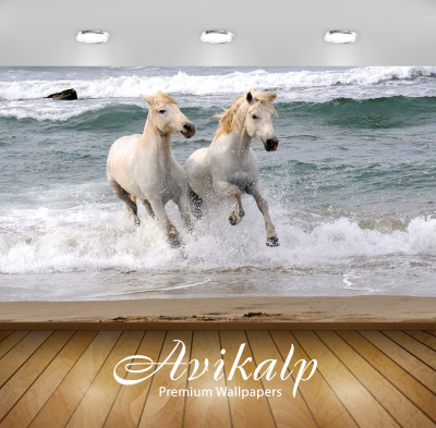 

Avikalp Nature Wallpaper(60.96 cm X 91.44 cm)