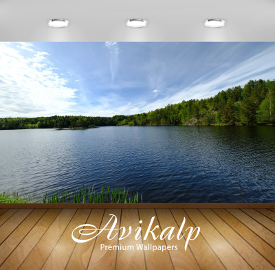 

Avikalp Nature Wallpaper(60.96 cm X 91.44 cm)