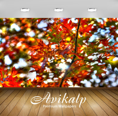 

Avikalp Nature Wallpaper(60.96 cm X 91.44 cm)