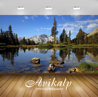 

Avikalp Nature Wallpaper(60.96 cm X 91.44 cm)