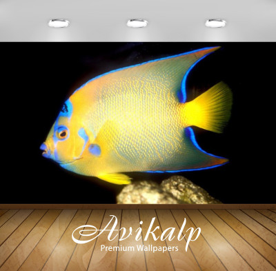 

Avikalp Nature Wallpaper(60.96 cm X 91.44 cm)