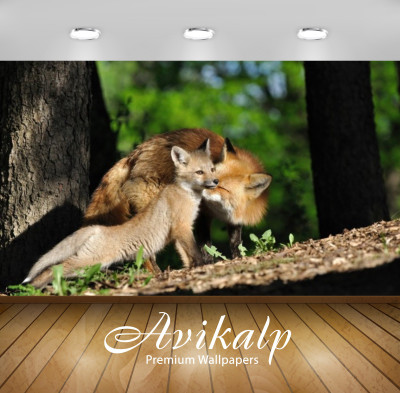 Avikalp Nature Wallpaper(60.96 cm X 91.44 cm)