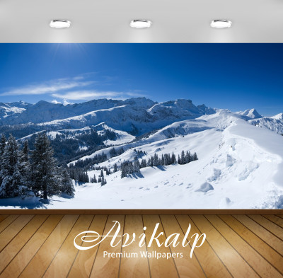 

Avikalp Nature Wallpaper(60.96 cm X 91.44 cm)