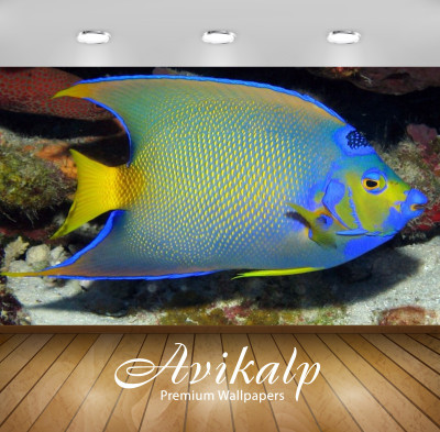 

Avikalp Nature Wallpaper(60.96 cm X 91.44 cm)