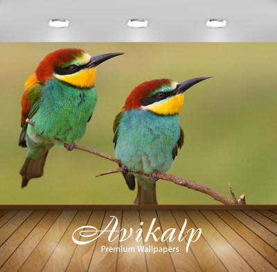 

Avikalp Nature Wallpaper(60.96 cm X 91.44 cm)